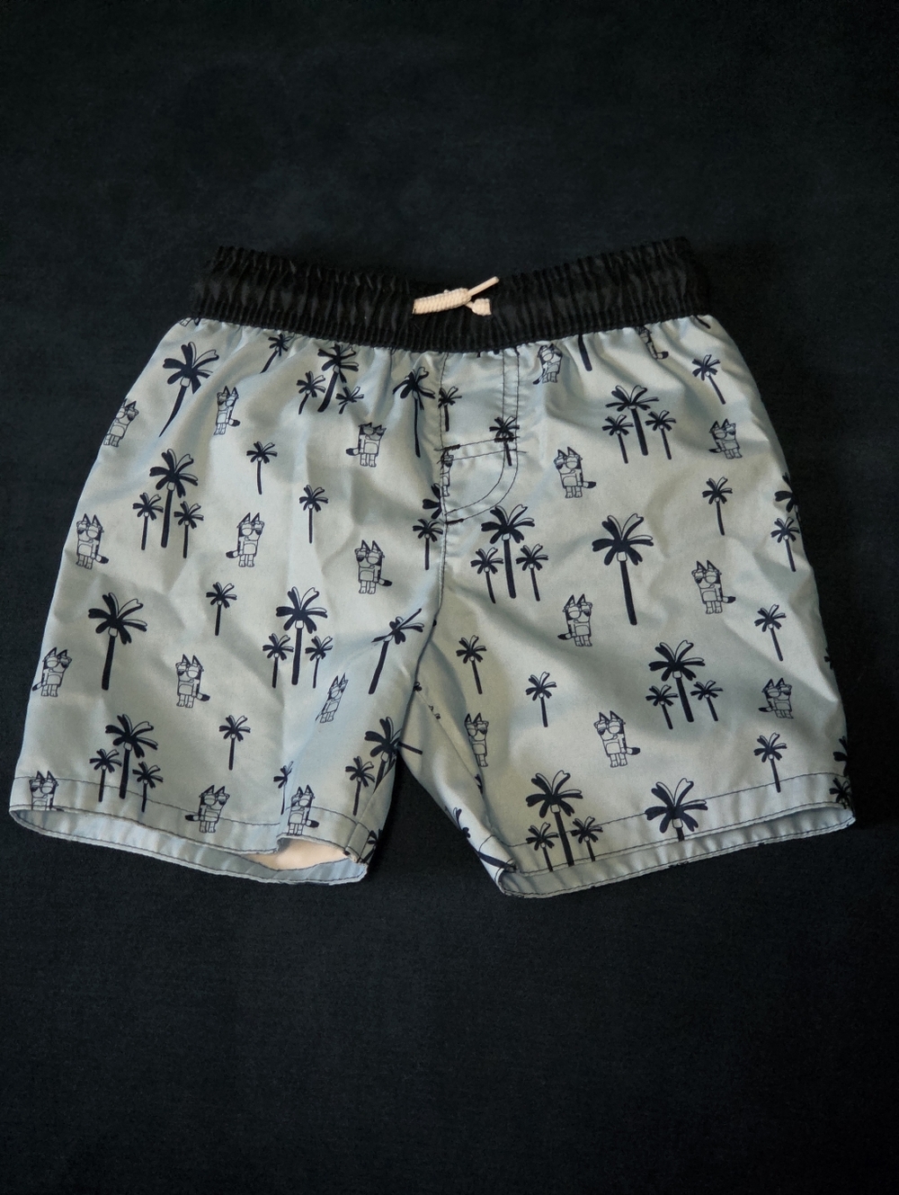 Boys Bluey Light Blue Palm Tree Swim Shorts Size 4T